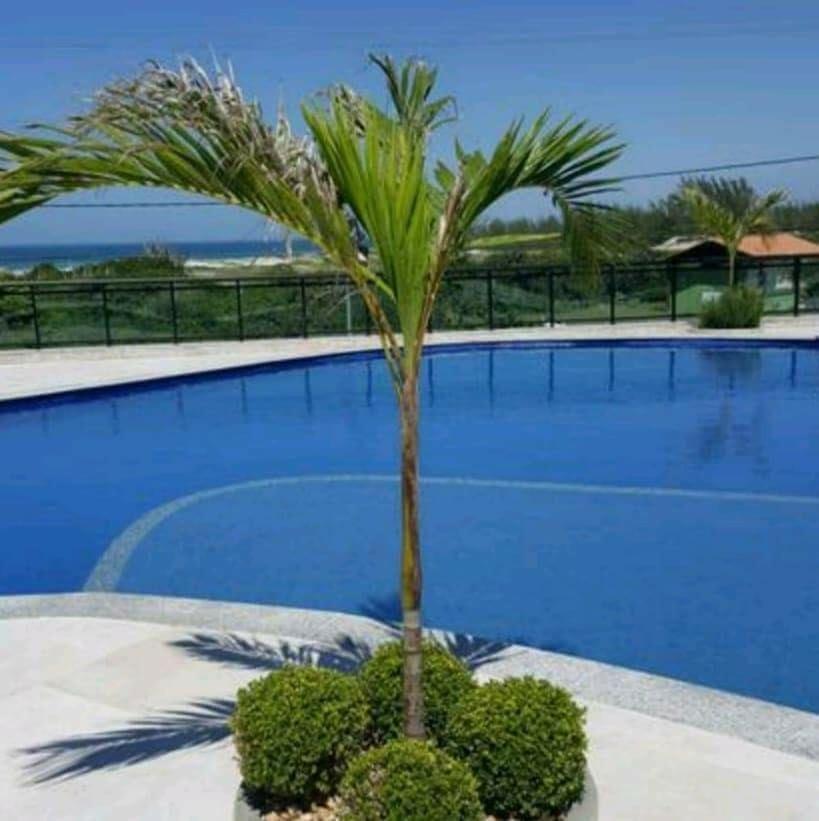 Le Bon Vivant Arraial Do Cabo 405 Bl A Luaran gambar